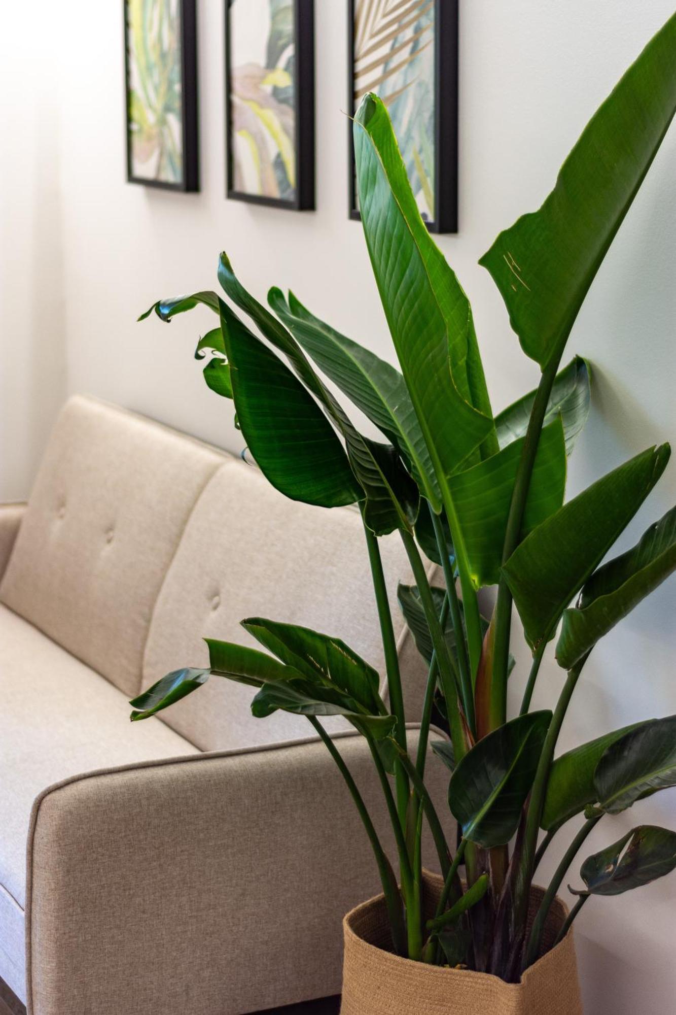 Maison Dafne Catania Ngoại thất bức ảnh